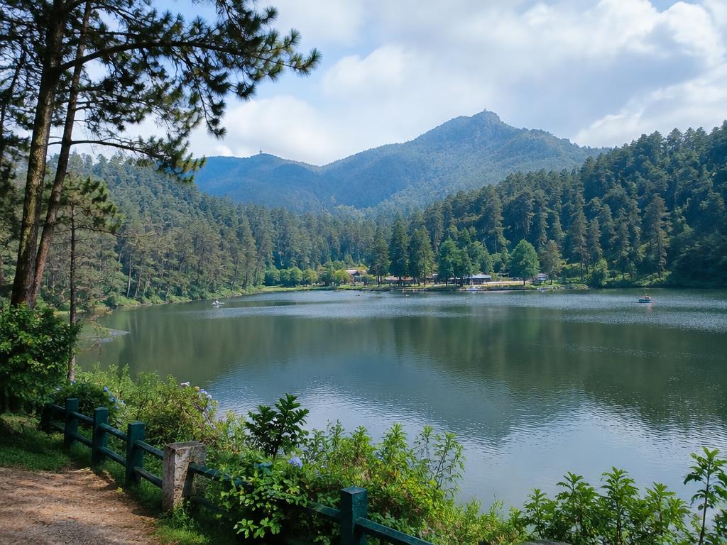 Taxi trips from Tirupur to Kodaikanal